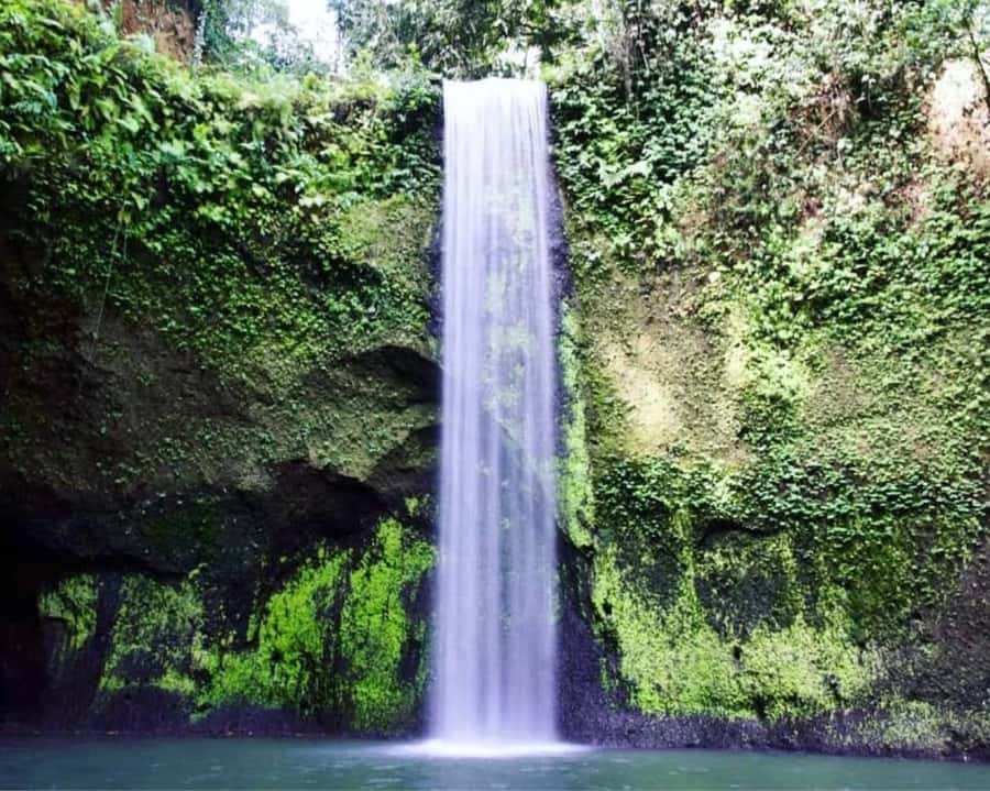 Ubud: 3 Spectacular Waterfalls In Ubud With Transfer - What the Day Feels Like: Timing, Crowds, and Enjoyment