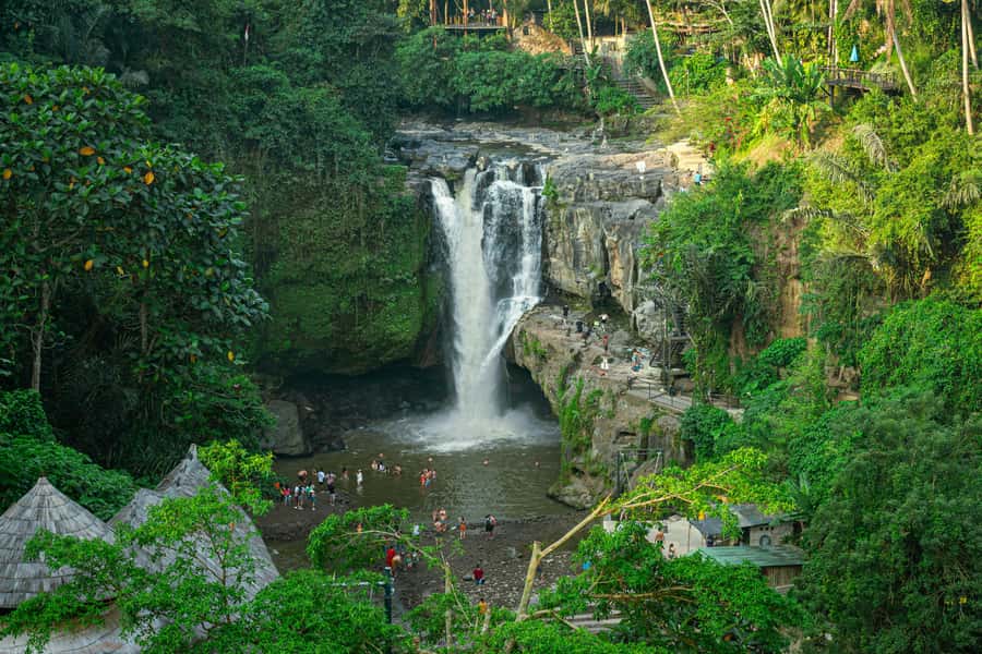 Ubud: All-Inclusive Tour with Optional Lunch - Tegalalang Rice Terraces at Ceking: The Subak View Walk