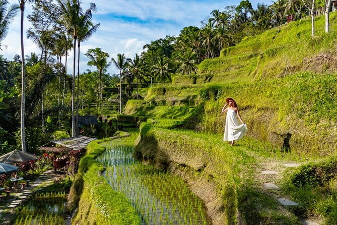 Ubud All-Inclusive Tour with Swing and Lunch - Key points to know before you go