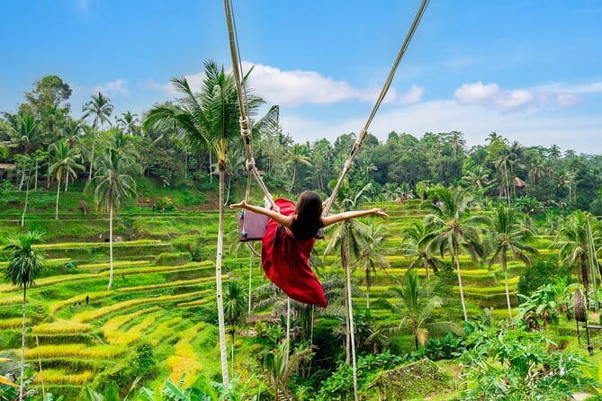 Ubud All-Inclusive Tour with Swing and Lunch - A value-first day plan in Ubud