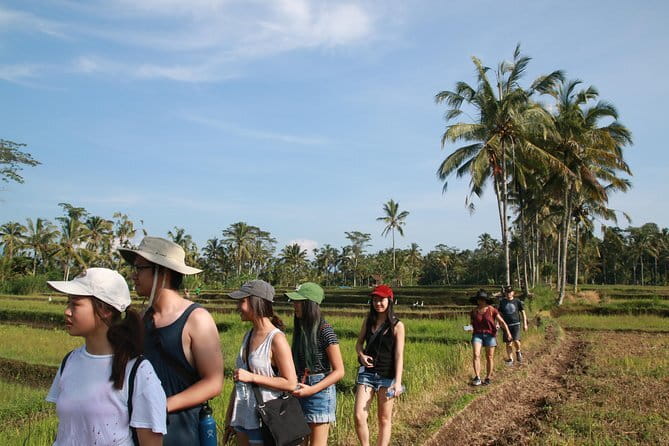 Ubud All-Inclusive Tour with Swing and Lunch - Lunch at D Alas Warung: a more local stop than a mall meal