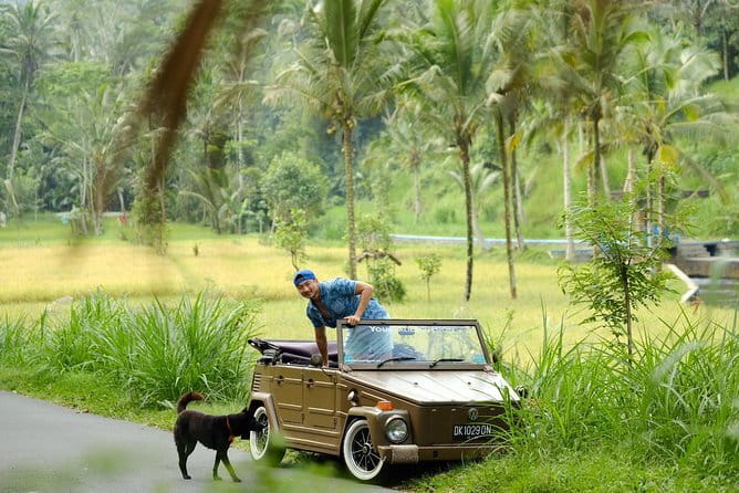 Ubud All-Inclusive Tour with Swing and Lunch - Ubud Jungle Swing: the classic view, with logistics built in