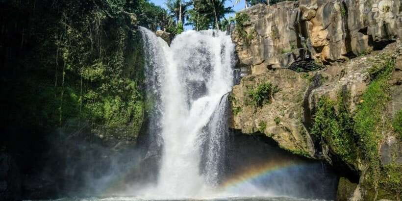 Ubud: ATV Quad Bike and Jungle Swing with Waterfall Tour - Price and Value: Is $77 Actually a Deal?