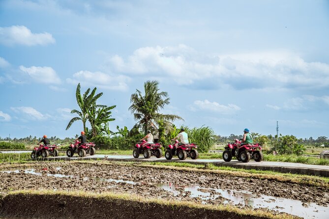 Ubud ATV Quad Bike with Infinity Pool Access All Inclusive - Villages, waterfalls, and photo stops (without making it a slideshow)