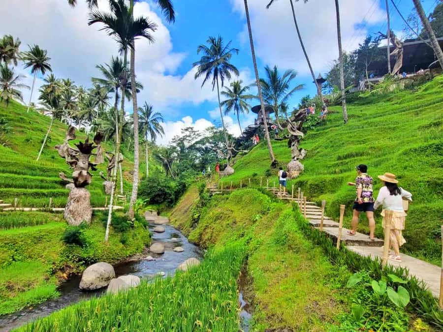 Ubud: ATV Quad Bike, Zip-line and Cretya Alas Harum Tour - Price and Value: Why About $26 Can Actually Make Sense