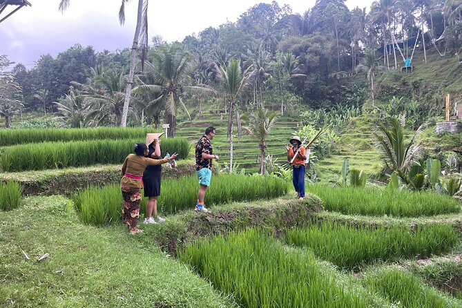 Ubud: ATV Rafting + Zipline, Swing, Sky Bike in Bali Rice Terrace - Timing, transport, and how to plan your day without stress