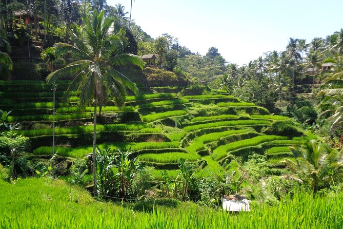Ubud ATV ride Adventure and water rafting - Water Rafting: How to Prepare When the Details Are Light