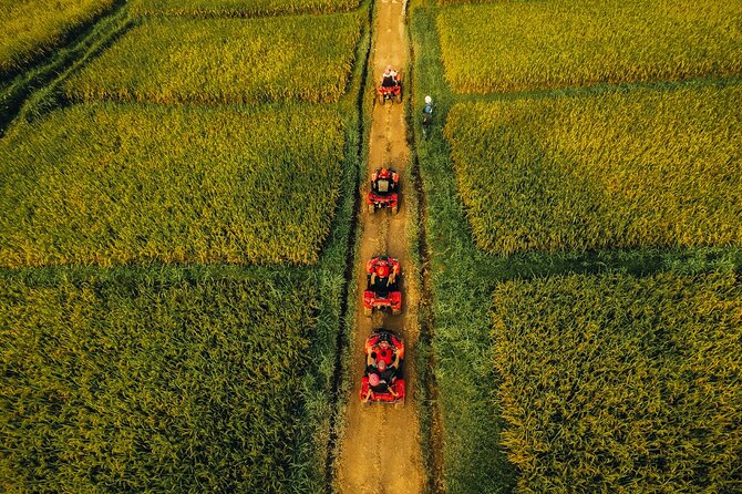 Ubud ATV Ride through River Jungle Rice Fields Puddles - Photos, Guides, and the Human Touch (Putu, Wayan, Santika, Dwi)