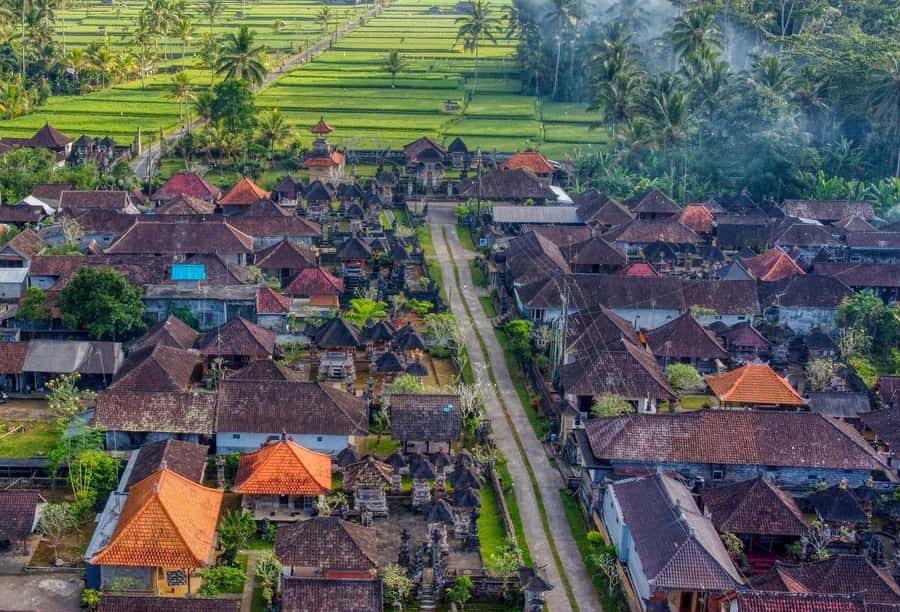 Ubud: Authentic Traditional Balinese Village Cooking Class - Key highlights to know before you go