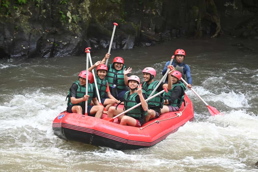 Ubud: Ayung River Guided Rafting Adventure with Lunch - Rainforest, Waterfalls, Rice Fields, and Kingfishers