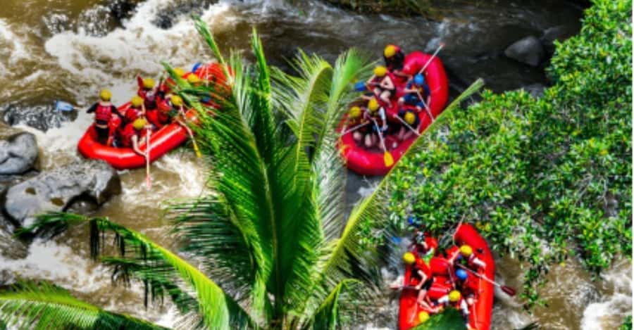 Ubud: Ayung River Rafting Adventure with Lunch and Transport - Key Highlights to Know Before You Go