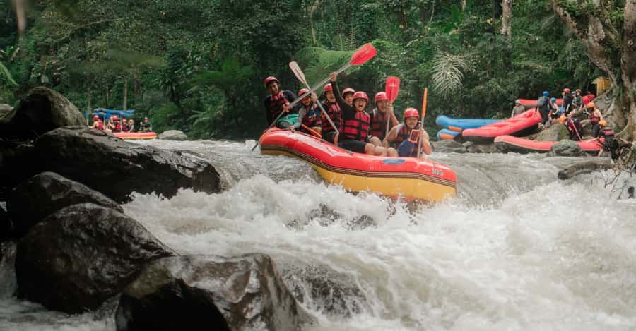 Ubud: Ayung River Rafting Adventure with Lunch and Transport - Ayung River Rapids: What the Moderate Action Looks Like