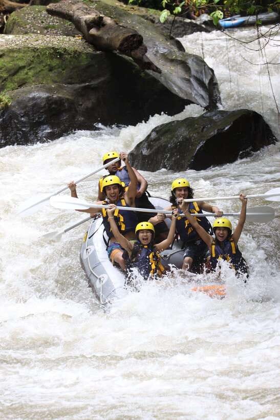 Ubud: Ayung River Rafting Include Lunch - Who should book this Ayung River rafting tour