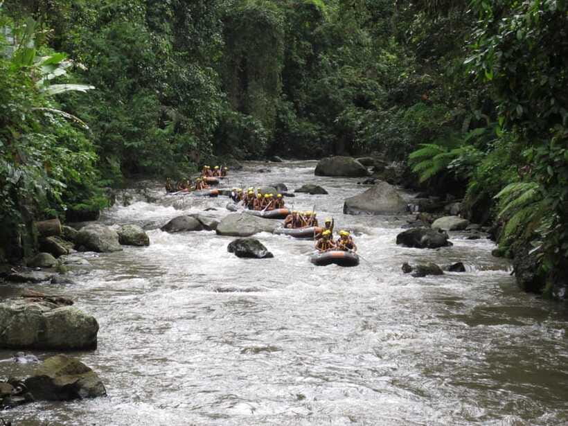 Ubud: Ayung River Rafting Include Lunch - Price and value for $30: what’s included and what you pay extra for