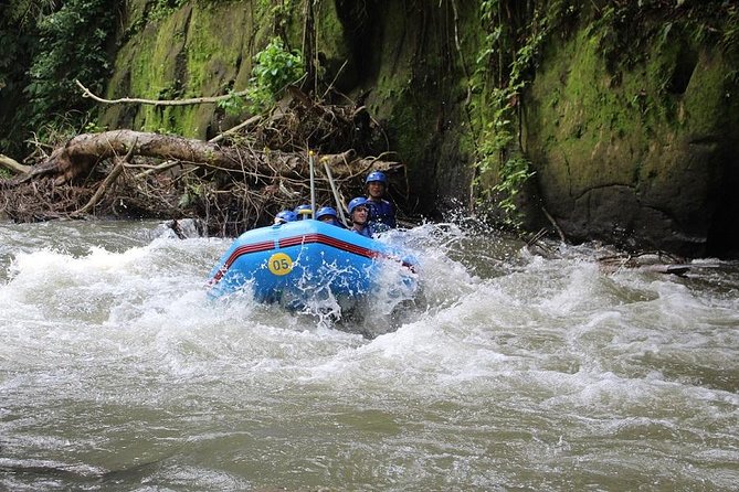Ubud Ayung Water Rafting included Lunch and Transfer - Shower, Changing Rooms, and The End-Of-Day Reset