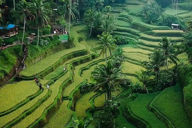 Ubud Bali Driver ( Bali Custom Tour ) - Uluwatu Temple: Ocean Cliffs and Kecak Dance Energy