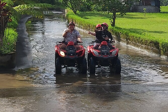 Ubud Bali Driver - Private Driver in Ubud - Price and value: what $32 per person really covers