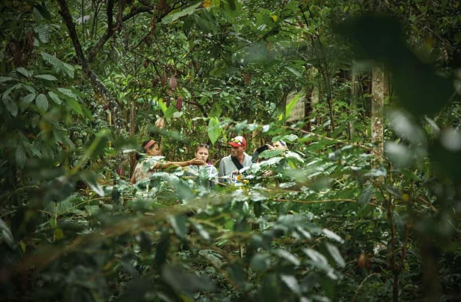 Ubud: Bali Pulina Tour with Swing & Tegallang Rice Terrace - Key highlights you’ll actually feel