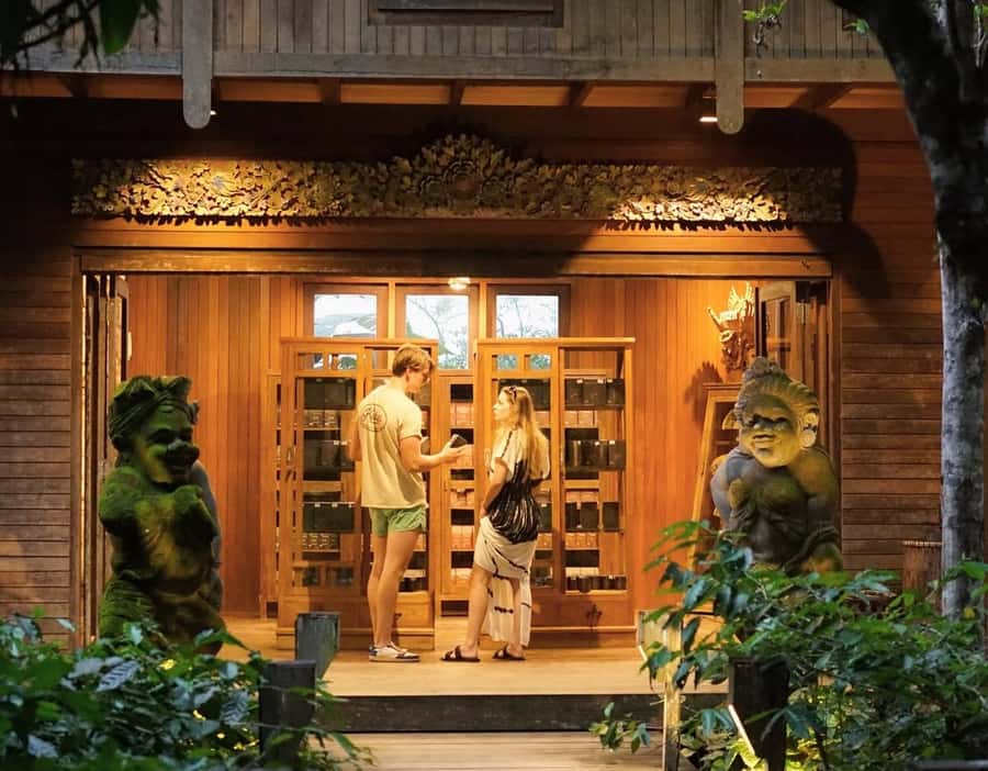 Ubud: Bali Pulina Tour with Swing & Tegallang Rice Terrace - Tegallalang Rice Terrace: the iconic views come with steps