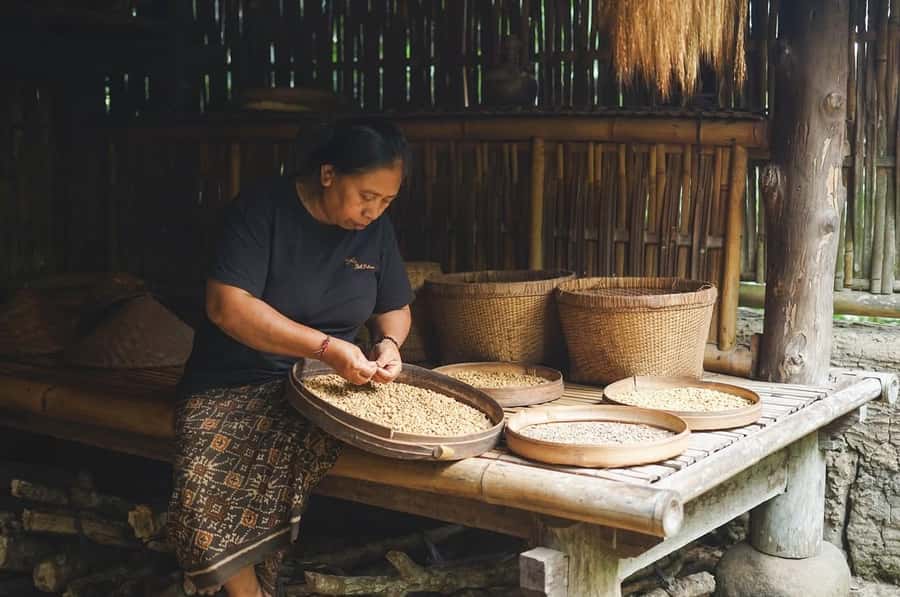 Ubud: Bali Pulina Tour with Swing & Tegallang Rice Terrace - Safety and suitability: who should book, and who should pass