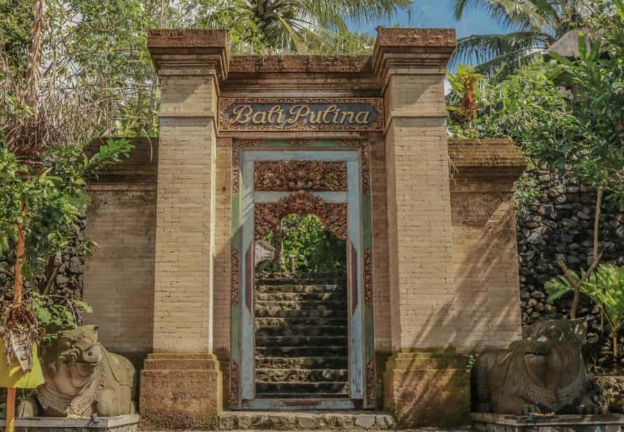 Ubud: Bali Pulina Tour with Swing & Tegallang Rice Terrace - Bali Pulina plantation tour: what the 1-hour guided walk really gives