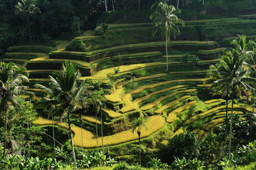 Ubud: Bali's 3 Epic Waterfall, Rice Terrace, and Temple Tour - Kato Lampo Waterfall: Sculpted Rocks and Liquid Light