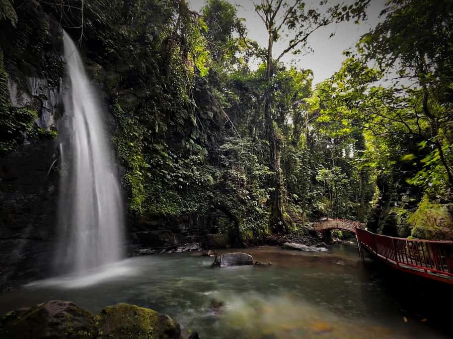 Ubud: Bali's 3 Epic Waterfall, Rice Terrace, and Temple Tour - Price and What You’re Really Getting for About $23
