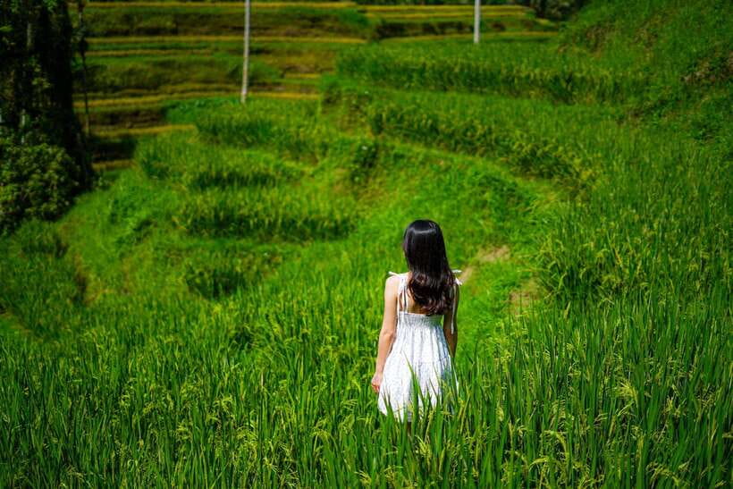 Ubud: Bali Swing hidden waterfall with personal photographer - Tegalalang rice terrace: iconic shots without feeling frantic