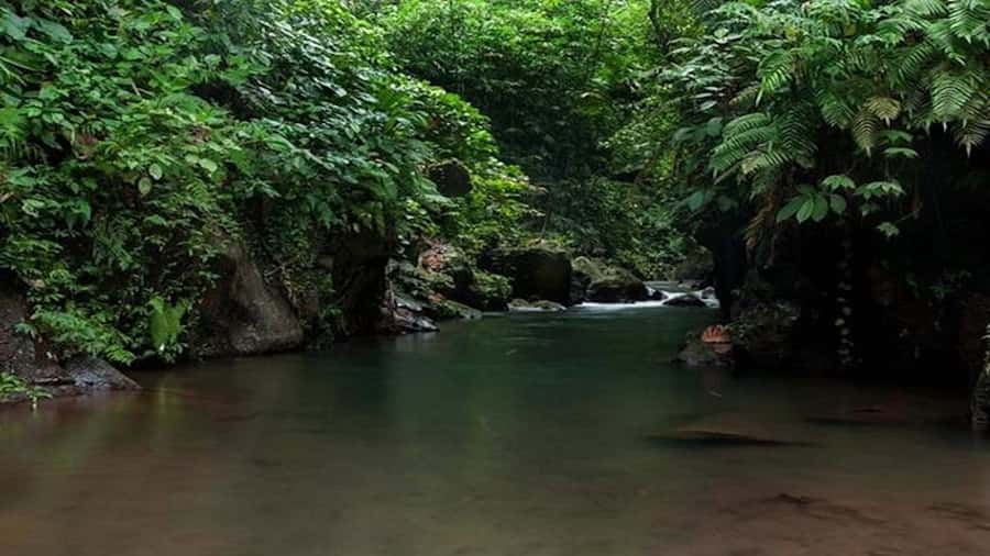Ubud: Bayad Village, Waterfall and Cave Trek Adventure - Key Highlights You’ll Feel Immediately