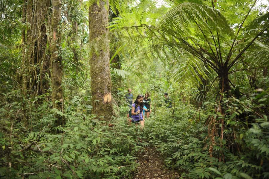 Ubud: Bayad Village, Waterfall and Cave Trek Adventure - Bayad Village Trekking: Country Paths and Learning What’s Around You
