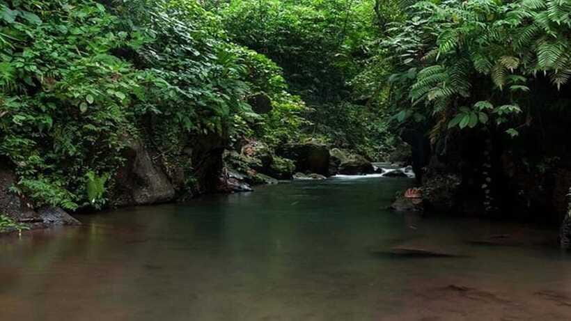 Ubud: Bayad Village, Waterfall and Cave Trek Adventure - Goa Maya Cave: Sacred Statues Plus a Spice Center and Farm Visit