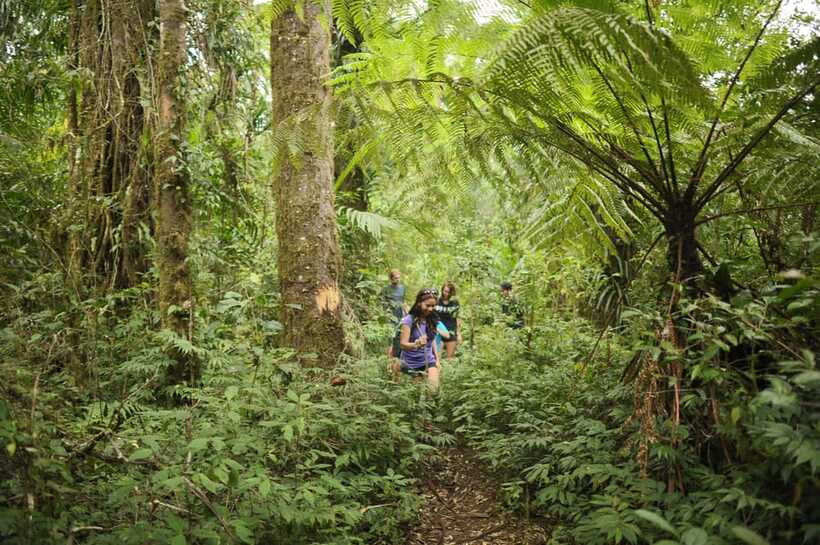 Ubud: Bayad Village, Waterfall and Cave Trek Adventure - Price and Value: Is $55 for 6 Hours Worth It?