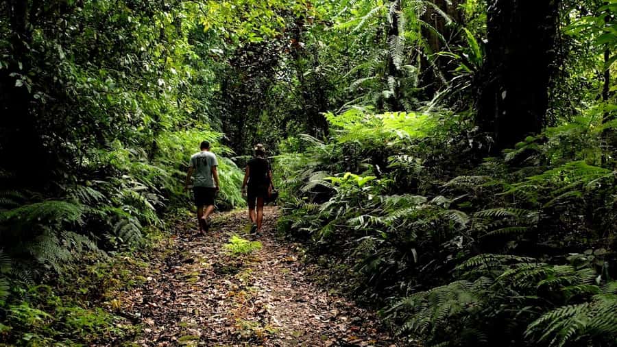 Ubud: Bayad Village, Waterfall and Cave Trek Adventure - Getting Started: Ubud and South Bali Pickup, Then Straight Into Nature