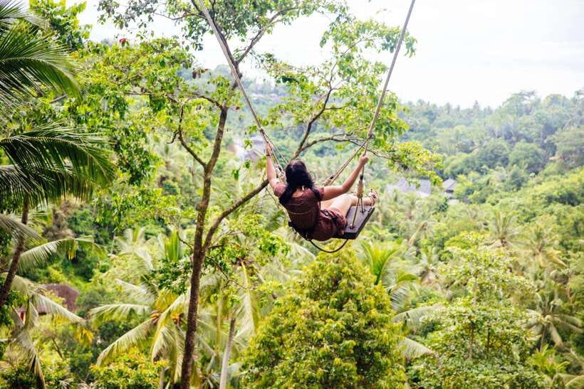 Ubud: Best of Ubud Full-Day Tour with Entry Tickets - Lunch, Jungle Swings, and What Costs Extra