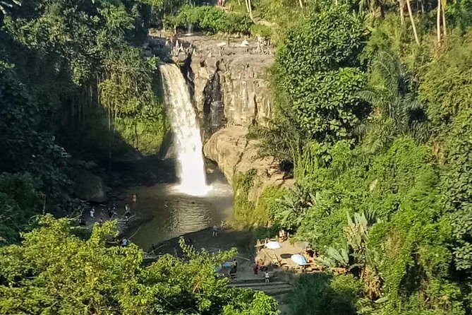 Ubud Best Tour - A Ubud Day Built Around Waterfalls, Monkey Forest, and Rice Terraces