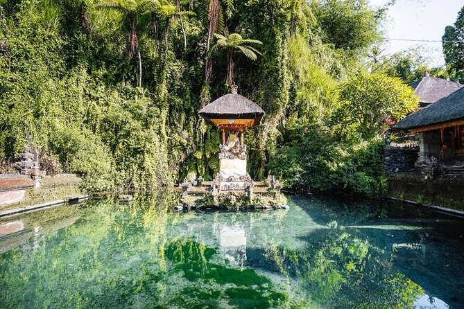 Ubud Best Tour - Sacred Monkey Forest Sanctuary: Seeing Ubud’s Rainforest Core Up Close