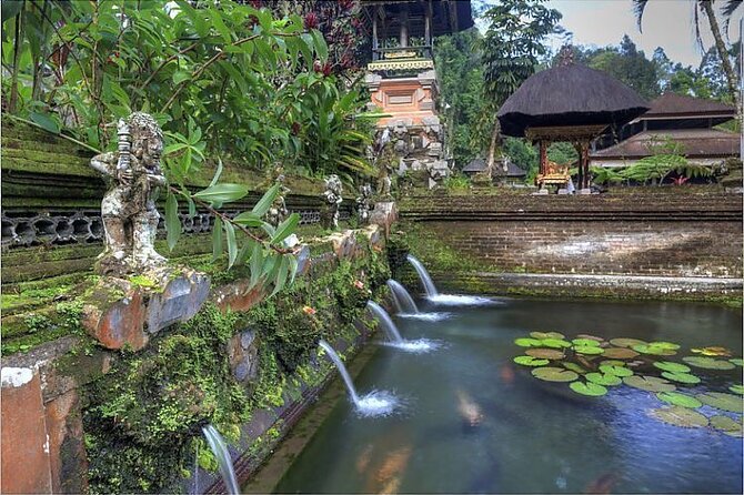 Ubud Best Tour - Coffee Plantation Stop and Adventure Options (Jungle Swing, Zip Line, Bird Net)
