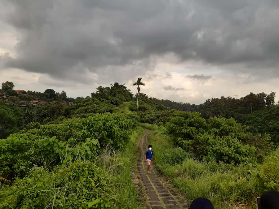 Ubud: Campuhan Ridge Walk, Tegallalang Rice Terrace & More - Key Things I’d Prioritize on This Ubud Day