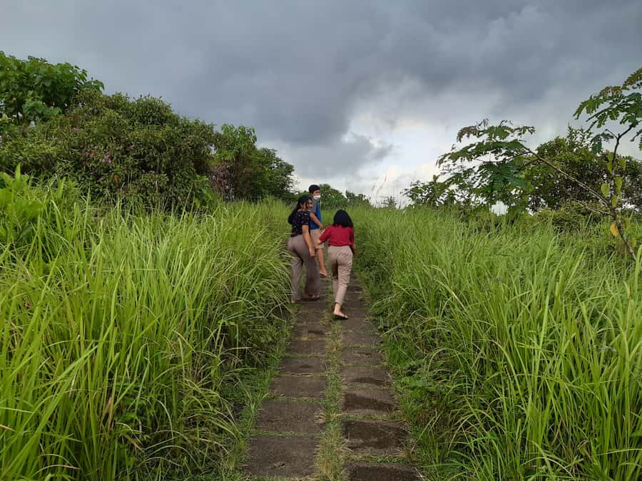 Ubud: Campuhan Ridge Walk, Tegallalang Rice Terrace & More - Campuhan Ridge Walk: A Peaceful Start That Sets the Tone
