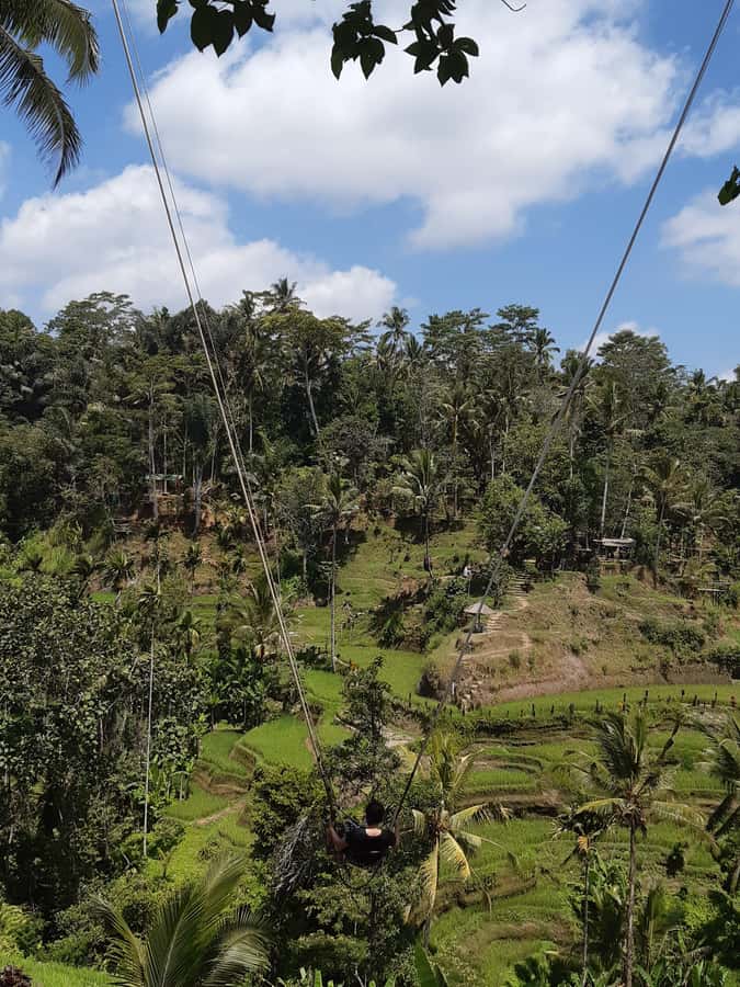 Ubud: Campuhan Ridge Walk, Tegallalang Rice Terrace & More - Tegenungan Waterfall: Lush Scenery Plus a Real-World Expectation Check