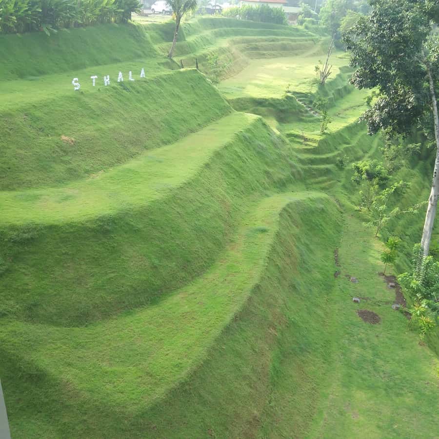 Ubud: Campuhan Ridge Walk, Tegallalang Rice Terrace & More - FAQ
