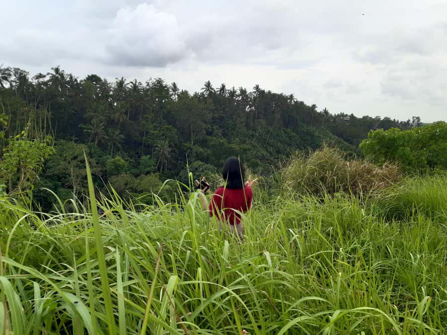 Ubud: Campuhan Ridge Walk, Tegallalang Rice Terrace & More - Tegallalang Rice Terraces: See the Farm System, Not Just the View