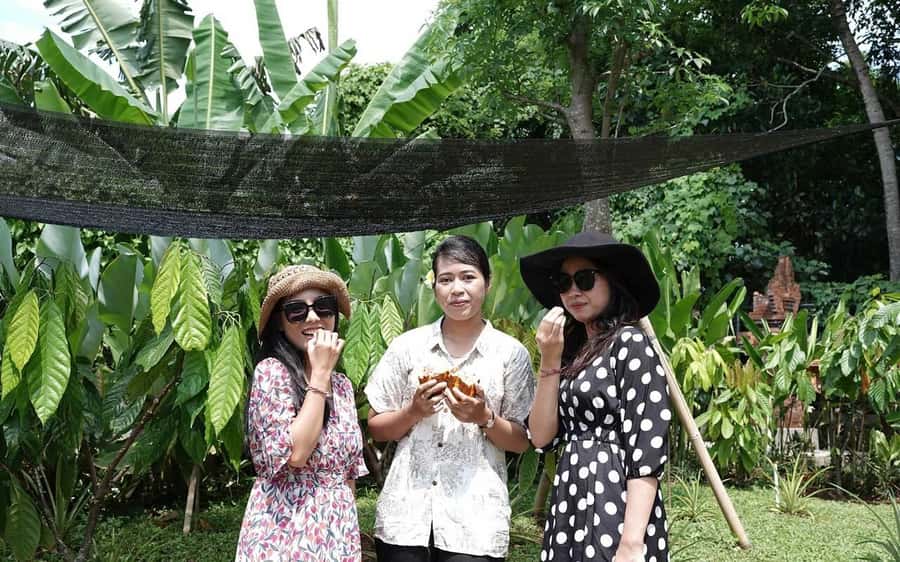 Ubud: Chocolate Workshop, Class & Tasting - Who should book this Ubud chocolate workshop