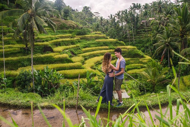 Ubud City Tour II: Monkey Forest, Palace, Art Market, and Rice Terrace - Ubud in Half a Day: How the 9:00am Rhythm Fits