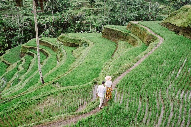 Ubud City Tour II: Monkey Forest, Palace, Art Market, and Rice Terrace - Happy Swing Bali: The One-Stop Adventure Break