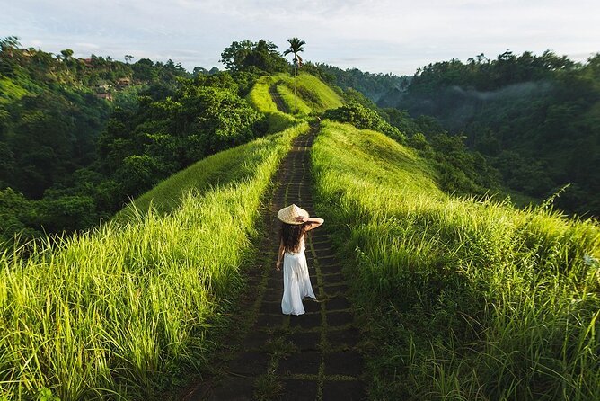 Ubud Countryside Tour: Campuhan Ridge Walk and Rice Terrace - Quick highlights before you go