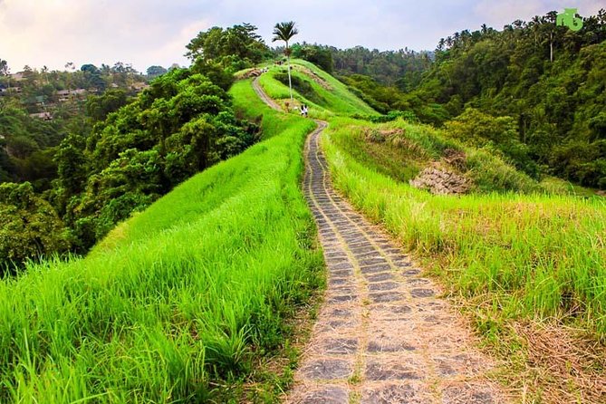 Ubud Countryside Tour: Campuhan Ridge Walk and Rice Terrace - Batuan’s Traditional House Compound: Culture First