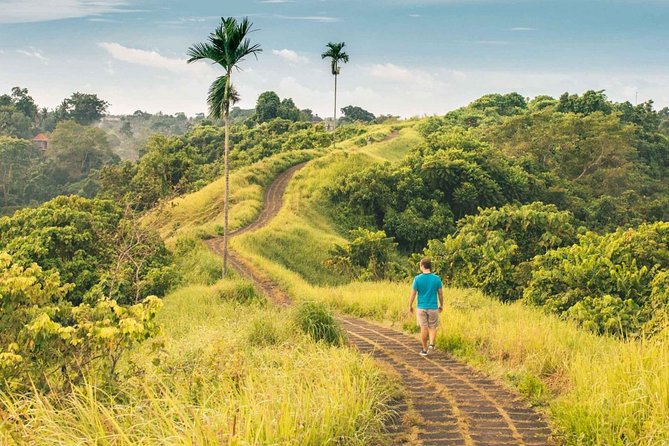 Ubud Countryside Tour: Campuhan Ridge Walk and Rice Terrace - Tegalalang Rice Terraces: Scenic Views Plus a Small Donation