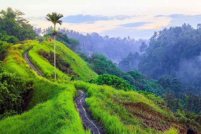 Ubud Countryside Tour: Campuhan Ridge Walk and Rice Terrace - Tirta Empul Temple: Sacred Water Springs and Temple Timing