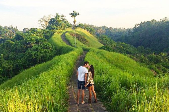 Ubud Countryside Tour: Campuhan Ridge Walk and Rice Terrace - Tegenungan Waterfall: The Final Nature Payoff